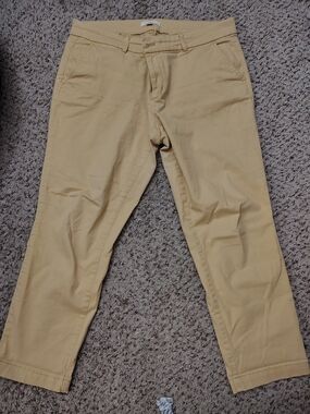 Women's loft Classic Chino Pants in Lighy Yellow